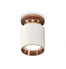 Светильник потолочный Ambrella Light Techno Spot XS6301201 (N6906, C6301, N6114)