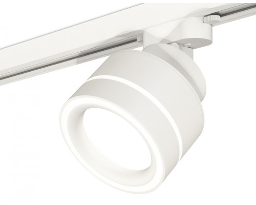 Основное фото Светильник трековый Ambrella Light Track System XT8101023 (A2524, A2105, C8101, N8433): Купить в Интернет магазин освещения GCSVET.RU