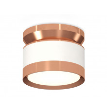 Светильник потолочный Ambrella Light Techno Spot XS8101065 (N8912, C8101, N8126)