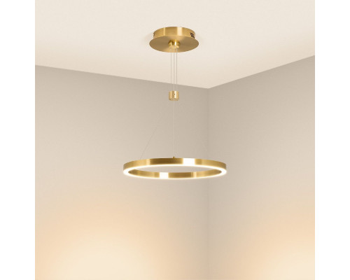 Дополнительное фото Светильник подвесной Arlight SP-CONGO-CAN-1-R600-36W Day4000 (GD, 120 deg, 230V) 046243: Купить в Интернет магазин освещения GCSVET.RU