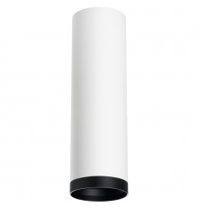Светильник накладной Lightstar Rullo R64963487 (216496+203487)