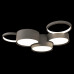 Дополнительное фото Люстра потолочная Loft IT Pin 10317/5 Grey: Купить в Интернет магазин освещения GCSVET.RU