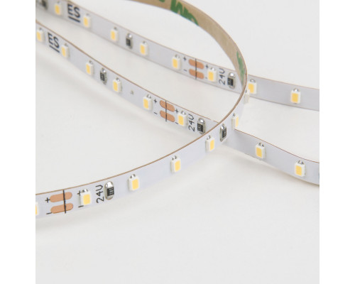 Дополнительное фото Светодиодная лента Elektrostandard 24V 8W 120Led 2116 IP20 холодный белый 5м 4690389176685: Купить в Интернет магазин освещения GCSVET.RU