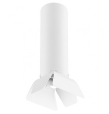 Светильник потолочный Lightstar RULLO R496436 (214496+202436)