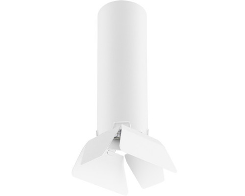 Основное фото Светильник потолочный Lightstar RULLO R496436 (214496+202436): Купить в Интернет магазин освещения GCSVET.RU