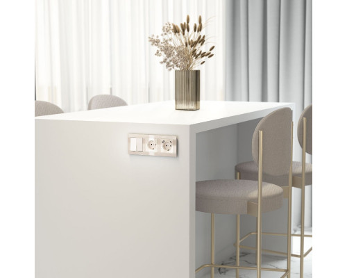 Дополнительное фото Розетка с заземлением Werkel 4690389197086 W1171043 a064060: Купить в Интернет магазин освещения GCSVET.RU