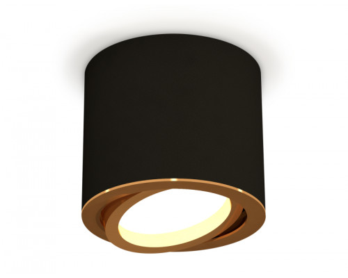 Основное фото Светильник накладной поворотный Ambrella Light Techno XS7402003 (C7402, N7004): Купить в Интернет магазин освещения GCSVET.RU