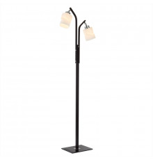 Напольный светильник Citilux CL126922