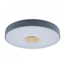 Светильник потолочный Loft IT AXEL 10003/24 Grey