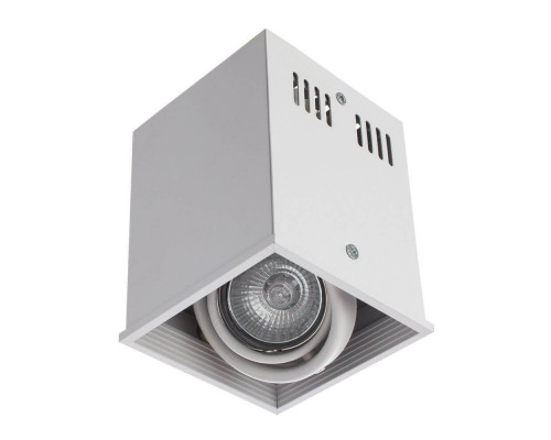 Дополнительное фото Светильник потолочный Arte Lamp Cardani A5942PL-1WH: Купить в Интернет магазин освещения GCSVET.RU