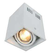 Светильник потолочный Arte Lamp Cardani A5942PL-1WH