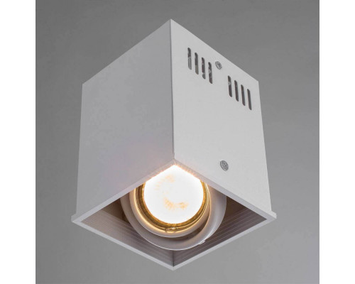 Дополнительное фото Светильник потолочный Arte Lamp Cardani A5942PL-1WH: Купить в Интернет магазин освещения GCSVET.RU