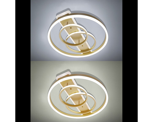 Дополнительное фото Люстра потолочная Natali Kovaltseva LED LAMPS 81302: Купить в Интернет магазин освещения GCSVET.RU
