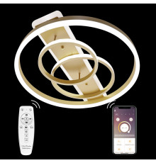 Люстра потолочная Natali Kovaltseva LED LAMPS 81302
