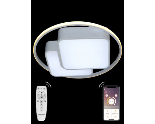 Основное фото Люстра потолочная Natali Kovaltseva HIGH-TECH LED LAMPS 82002: Купить в Интернет магазин освещения GCSVET.RU