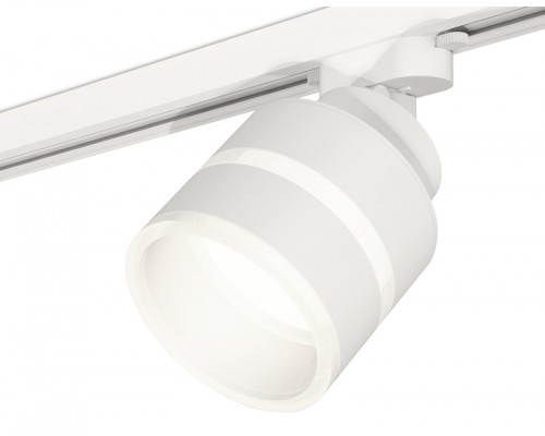 Основное фото Светильник трековый Ambrella Light Track System XT8101024 (A2524, A2105, C8101, N8444): Купить в Интернет магазин освещения GCSVET.RU
