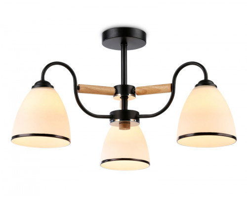 Основное фото Потолочная люстра Ambrella Light Modern TR3033241: Купить в Интернет магазин освещения GCSVET.RU