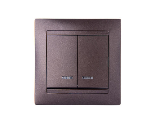Дополнительное фото Выключатель двухклавишный с подсветкой Лама TDM Electric SQ1815-0505: Купить в Интернет магазин освещения GCSVET.RU
