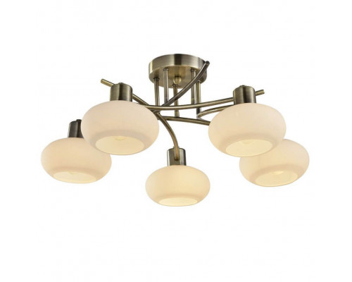 Дополнительное фото Люстра потолочная Arte Lamp 97 A7556PL-5AB: Купить в Интернет магазин освещения GCSVET.RU