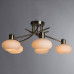 Дополнительное фото Люстра потолочная Arte Lamp 97 A7556PL-5AB: Купить в Интернет магазин освещения GCSVET.RU