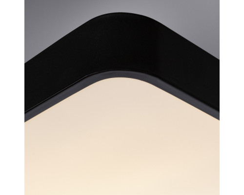 Дополнительное фото Светильник потолочный Arte Lamp A2663PL-1BK: Купить в Интернет магазин освещения GCSVET.RU
