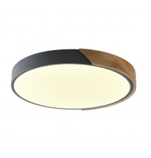 Светильник потолочный Zortes Alberro ZRS.01280.90