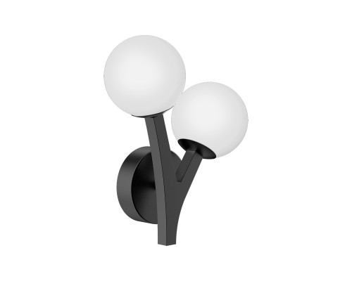 Основное фото Настенный светильник Delight Collection MB2050-2A black: Купить в Интернет магазин освещения GCSVET.RU