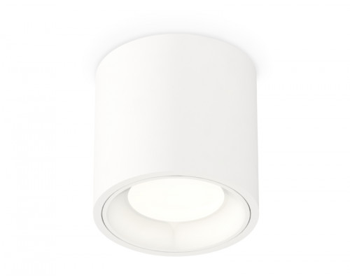 Основное фото Светильник потолочный Ambrella Light Techno Spot XS7531010 (C7531, N7020): Купить в Интернет магазин освещения GCSVET.RU