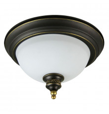 Светильник потолочный Arte Lamp Bonito A9518PL-2BA