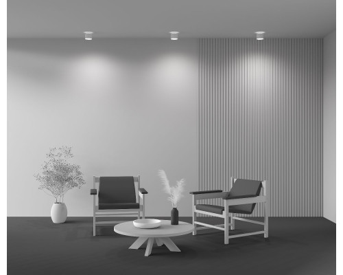 Дополнительное фото Светильник потолочный LED Maytoni Planet C009CW-L12W: Купить в Интернет магазин освещения GCSVET.RU