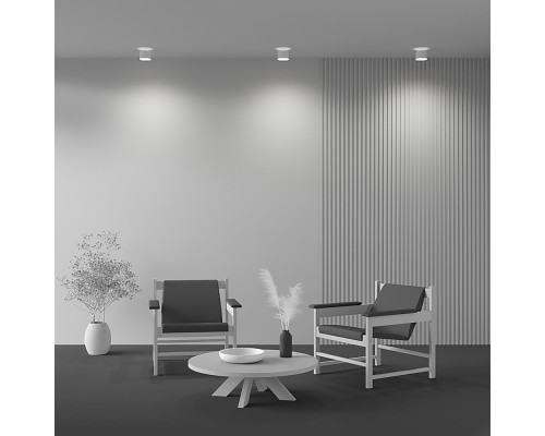 Дополнительное фото Светильник потолочный LED Maytoni Planet C009CW-L12W: Купить в Интернет магазин освещения GCSVET.RU