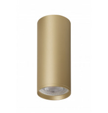 Светильник накладной Denkirs Tube DK2051-SG