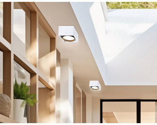 Дополнительное фото Светильник накладной Ambrella Light GX Standard tech TN70865: Купить в Интернет магазин освещения GCSVET.RU