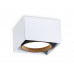 Основное фото Светильник накладной Ambrella Light GX Standard tech TN70865: Купить в Интернет магазин освещения GCSVET.RU