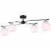Дополнительное фото Потолочная люстра Illumico IL0638-4CSQ-24 CR BK LIBRA: Купить в Интернет магазин освещения GCSVET.RU