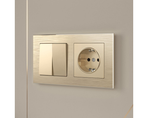 Дополнительное фото Рамка Werkel Aluminium на 2 поста шампань алюминий W0021711 4690389158148: Купить в Интернет магазин освещения GCSVET.RU