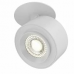 Основное фото Светильник спот Maytoni Treo C063CL-L12W3K: Купить в Интернет магазин освещения GCSVET.RU