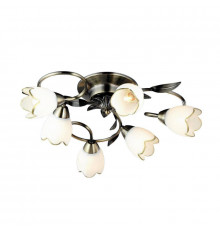 Люстра потолочная Arte Lamp 4 A6061PL-6AB