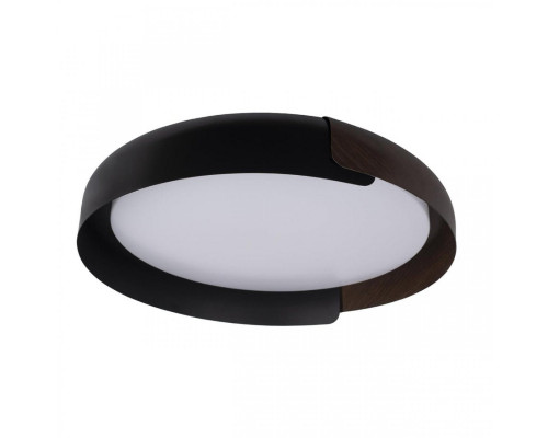 Основное фото Светильник потолочный Loft IT Coin 10198 Black: Купить в Интернет магазин освещения GCSVET.RU