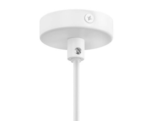 Дополнительное фото Светильник подвесной Lightstar Loft 765026: Купить в Интернет магазин освещения GCSVET.RU