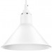 Дополнительное фото Светильник подвесной Lightstar Loft 765026: Купить в Интернет магазин освещения GCSVET.RU