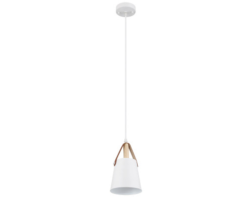 Основное фото Светильник подвесной Arte Lamp Thomas A7032SP-1WH: Купить в Интернет магазин освещения GCSVET.RU