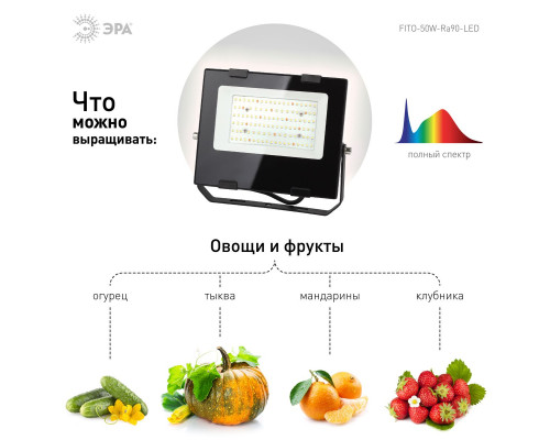 Дополнительное фото Светильник для растений Эра Б0047875: Купить в Интернет магазин освещения GCSVET.RU