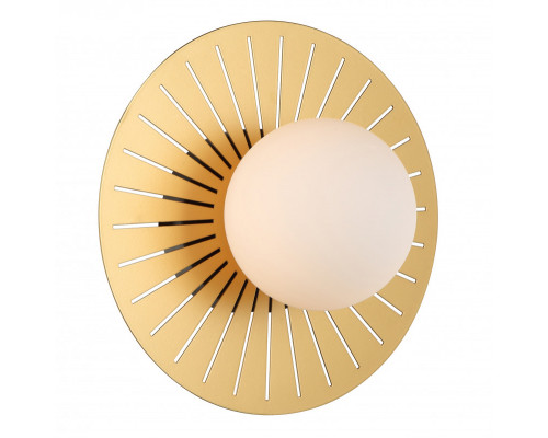 Основное фото Светильник настенный Favourite Sonnenblume 2356-1W: Купить в Интернет магазин освещения GCSVET.RU