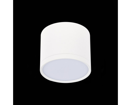 Дополнительное фото Светильник потолочный ST Luce Rene ST113.542.09: Купить в Интернет магазин освещения GCSVET.RU