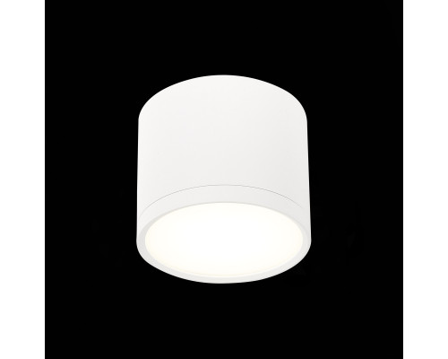 Дополнительное фото Светильник потолочный ST Luce Rene ST113.542.09: Купить в Интернет магазин освещения GCSVET.RU