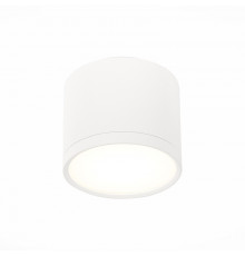 Светильник потолочный ST Luce Rene ST113.542.09