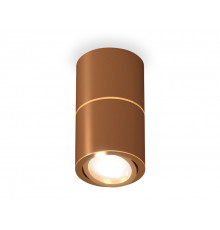 Светильник потолочный Ambrella Light Techno Spot XS7404060 (C7404, A2072, C7404, N7004)