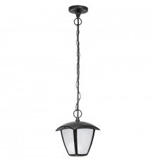 Светильник светодиодный уличный Lightstar Lampione 375070