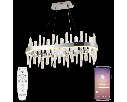 Основное фото Люстра подвесная Natali Kovaltseva LED LAMPS 81259: Купить в Интернет магазин освещения GCSVET.RU